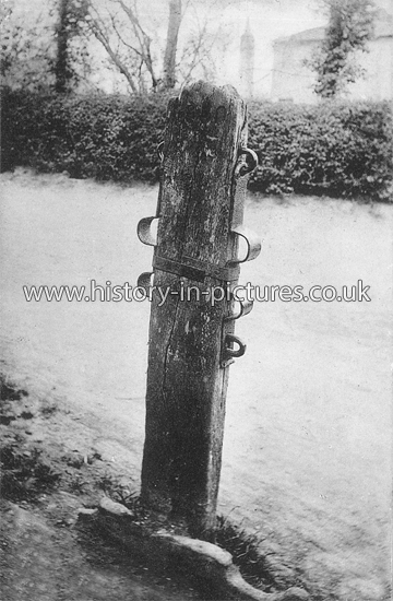 Whipping Post, Good Easter, Essex. c.1908